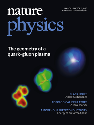 Nature Physics 2019 March cover